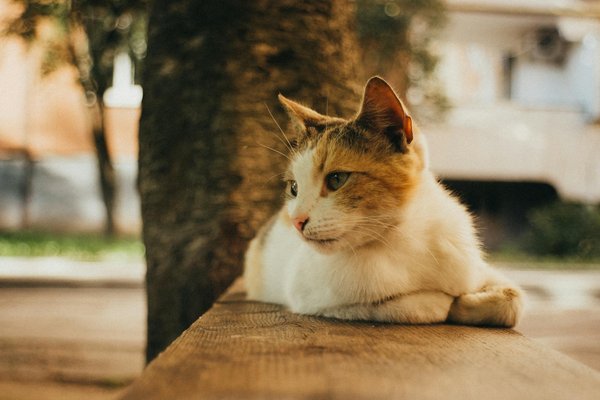 Erfolgreiches retargeting: innovative strategien zur optimierung ihrer online-marketing-kampagnen!